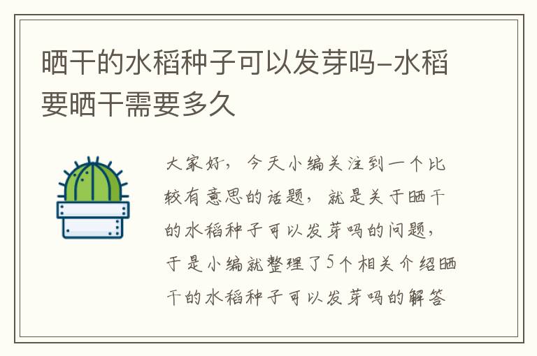 晒干的水稻种子可以发芽吗-水稻要晒干需要多久