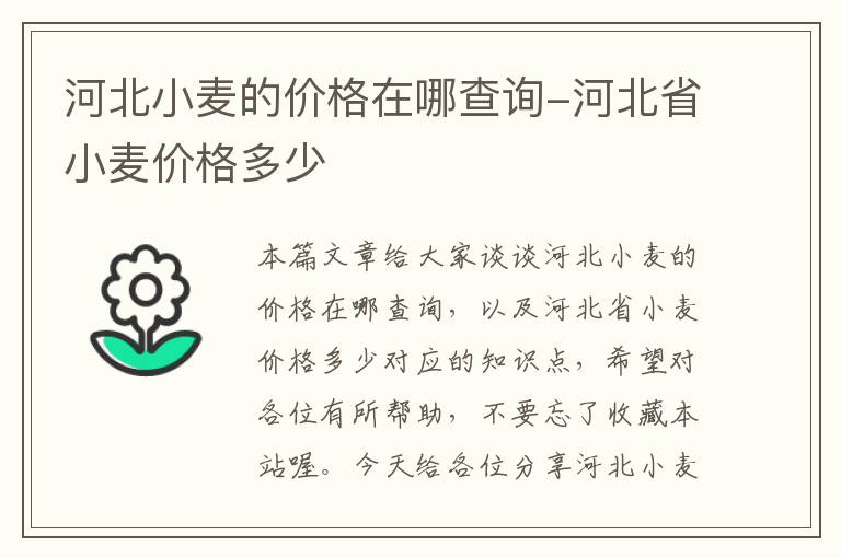 河北小麦的价格在哪查询-河北省小麦价格多少