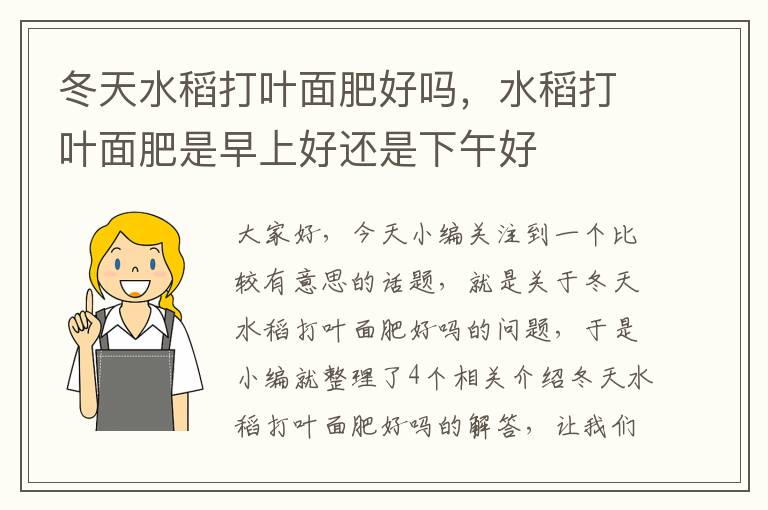 冬天水稻打叶面肥好吗，水稻打叶面肥是早上好还是下午好