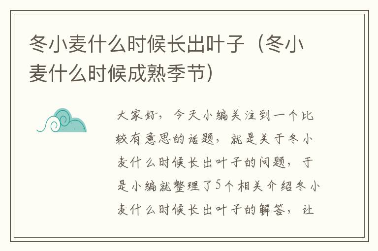 冬小麦什么时候长出叶子（冬小麦什么时候成熟季节）