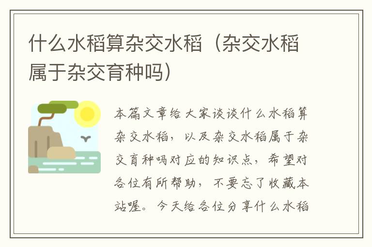 什么水稻算杂交水稻（杂交水稻属于杂交育种吗）