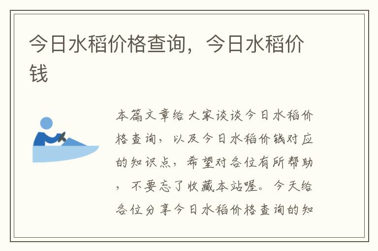 今日水稻价格查询，今日水稻价钱