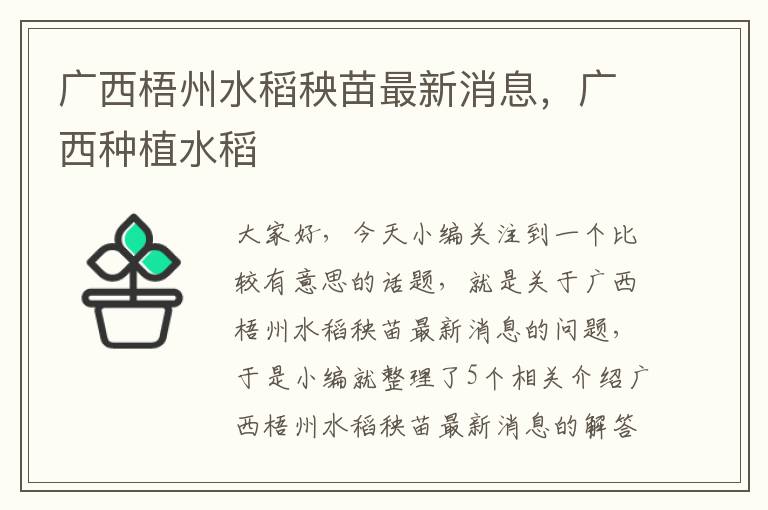 广西梧州水稻秧苗最新消息，广西种植水稻