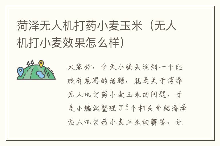 菏泽无人机打药小麦玉米（无人机打小麦效果怎么样）