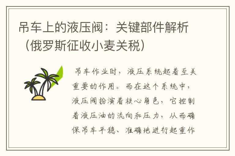 吊车上的液压阀：关键部件解析（俄罗斯征收小麦关税）