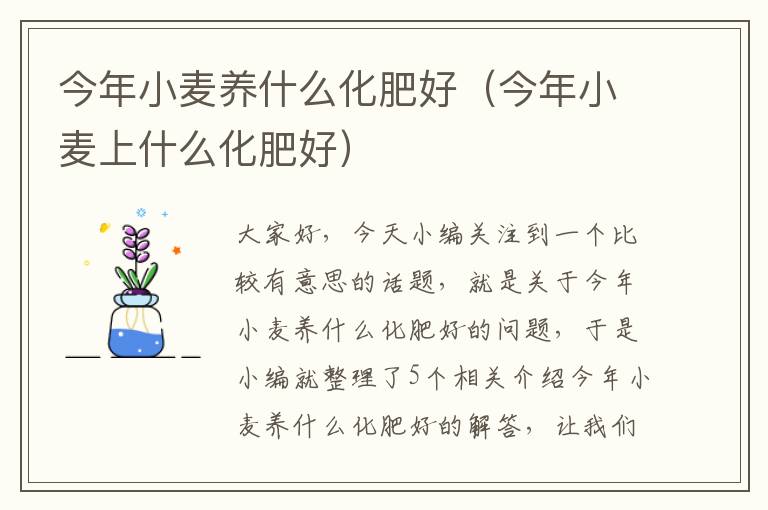 今年小麦养什么化肥好（今年小麦上什么化肥好）