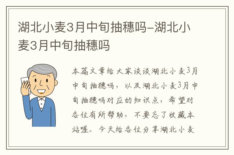 湖北小麦3月中旬抽穗吗-湖北小麦3月中旬抽穗吗