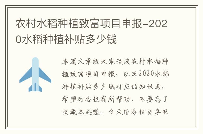 农村水稻种植致富项目申报-2020水稻种植补贴多少钱