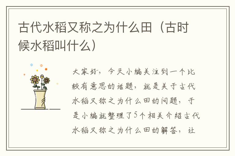 古代水稻又称之为什么田（古时候水稻叫什么）