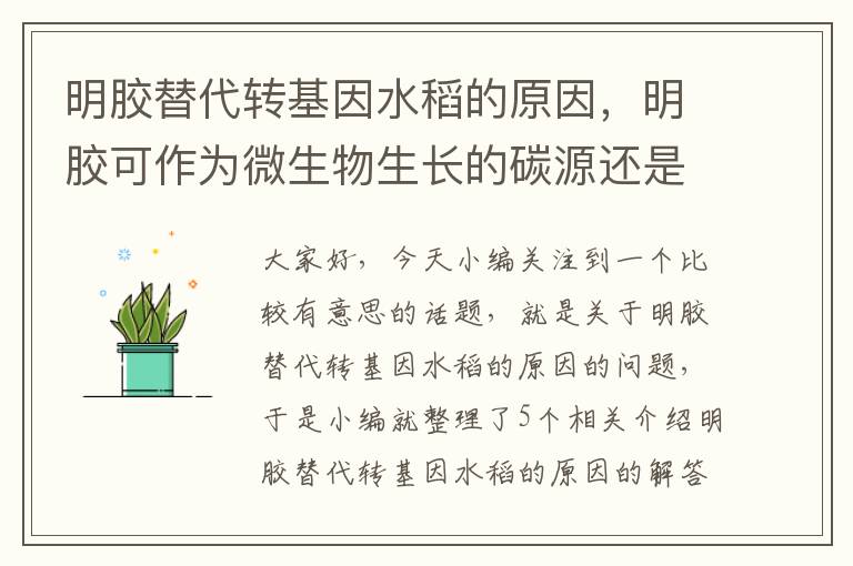 明胶替代转基因水稻的原因，明胶可作为微生物生长的碳源还是氮源