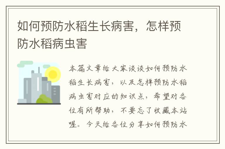 如何预防水稻生长病害，怎样预防水稻病虫害