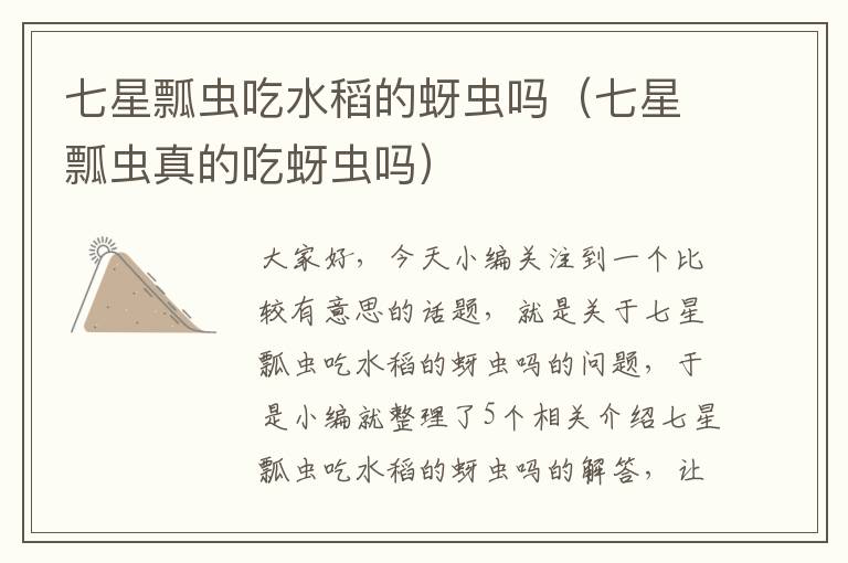 七星瓢虫吃水稻的蚜虫吗（七星瓢虫真的吃蚜虫吗）