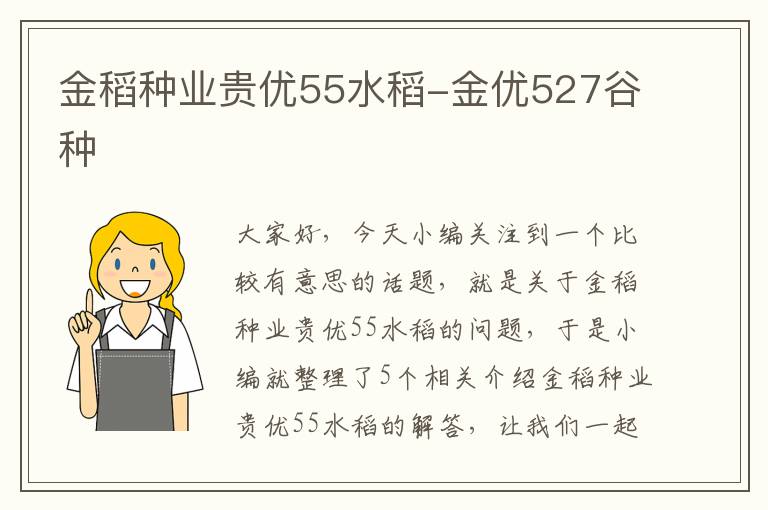 金稻种业贵优55水稻-金优527谷种