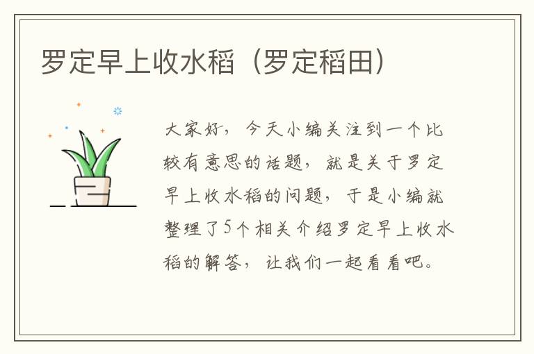 罗定早上收水稻（罗定稻田）