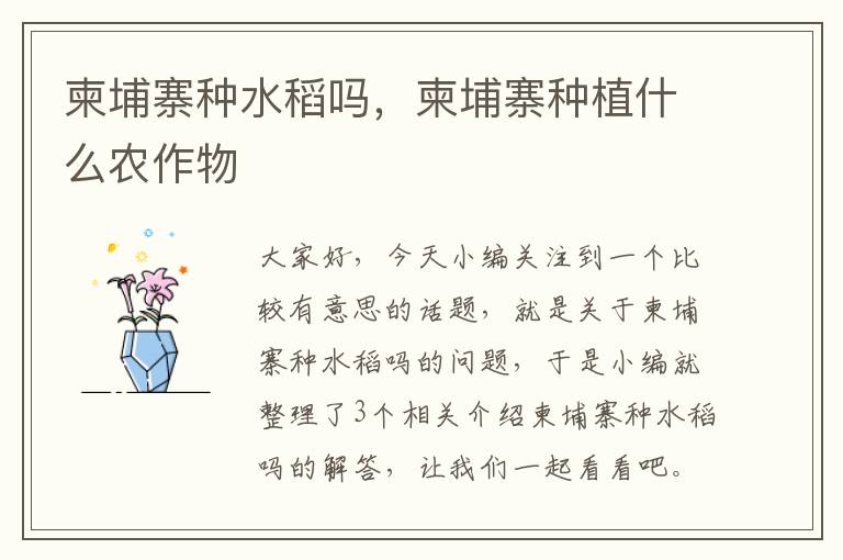 柬埔寨种水稻吗，柬埔寨种植什么农作物