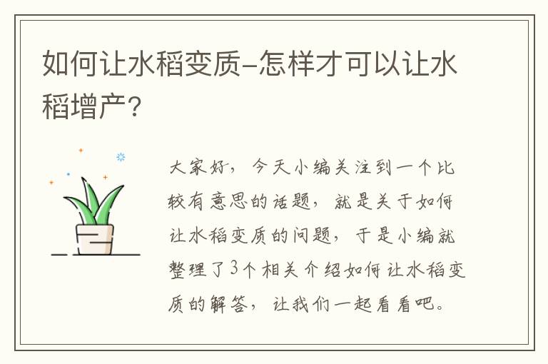 如何让水稻变质-怎样才可以让水稻增产?