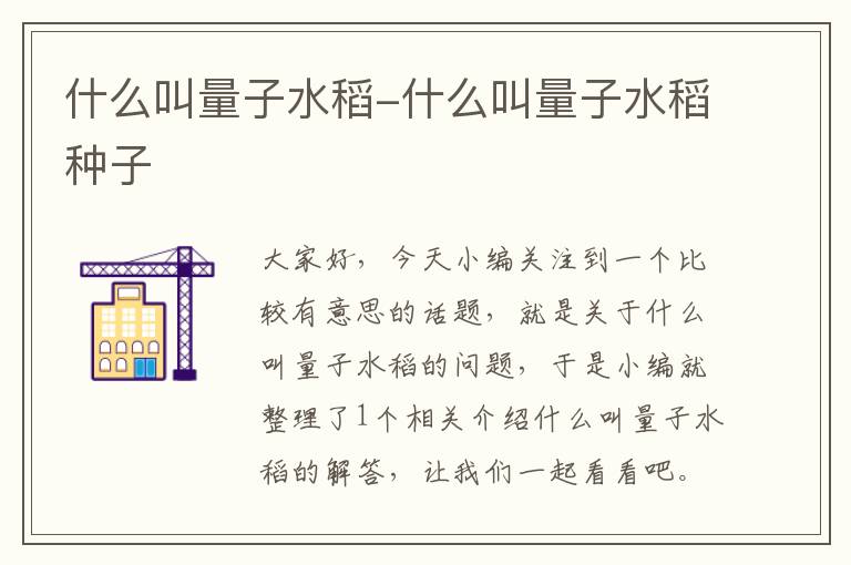 什么叫量子水稻-什么叫量子水稻种子