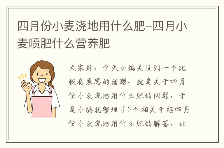 四月份小麦浇地用什么肥-四月小麦喷肥什么营养肥