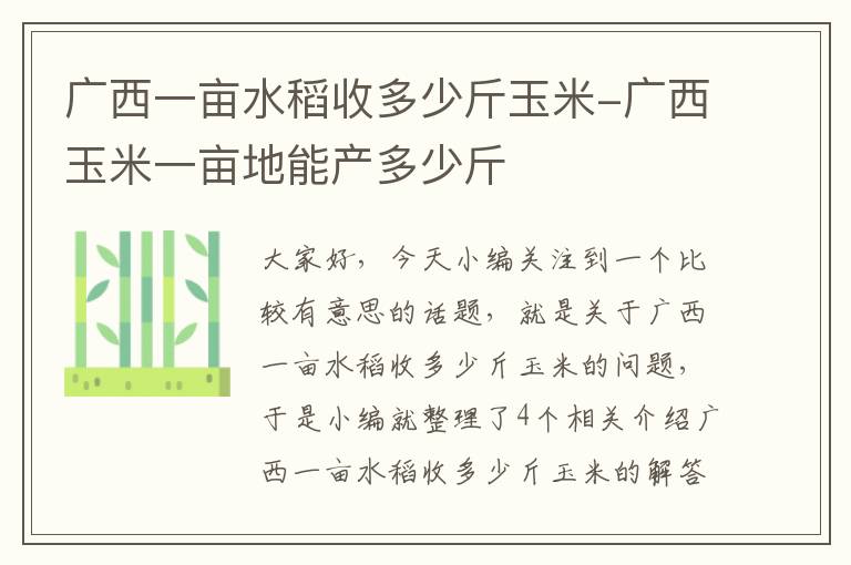 广西一亩水稻收多少斤玉米-广西玉米一亩地能产多少斤