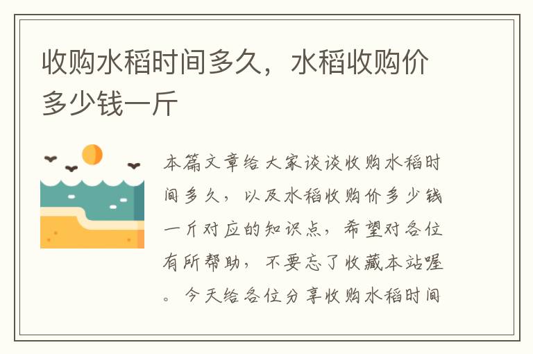 收购水稻时间多久，水稻收购价多少钱一斤