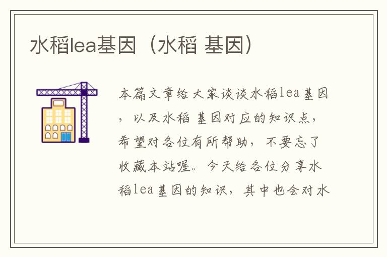 水稻lea基因（水稻 基因）