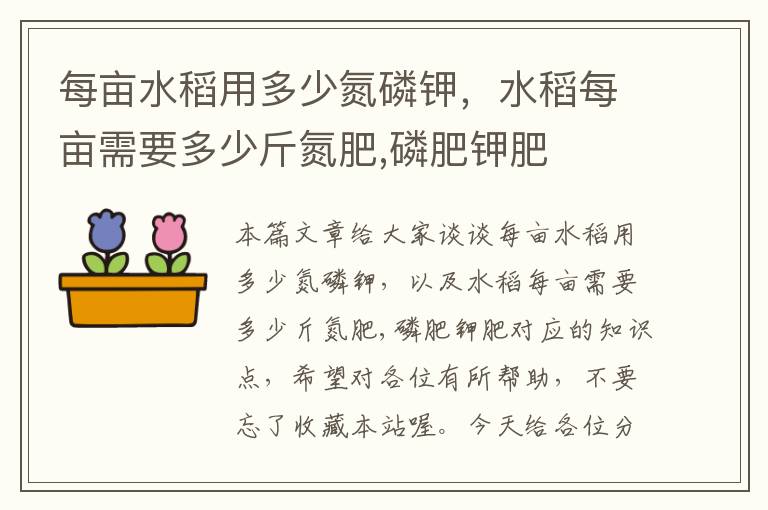 每亩水稻用多少氮磷钾，水稻每亩需要多少斤氮肥,磷肥钾肥