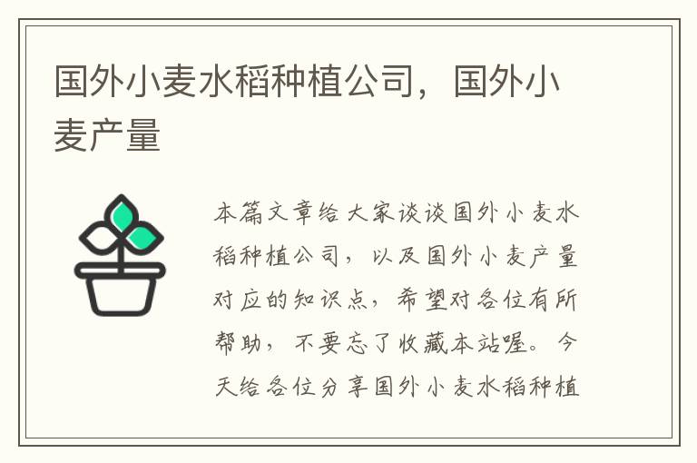 国外小麦水稻种植公司，国外小麦产量