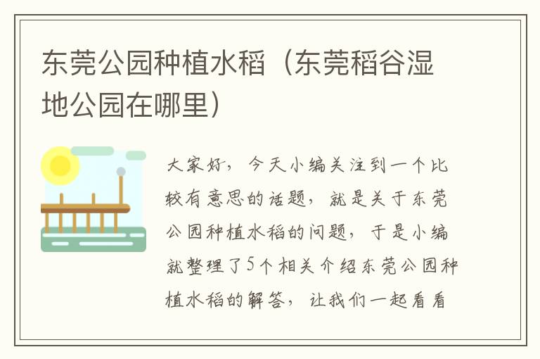 东莞公园种植水稻（东莞稻谷湿地公园在哪里）