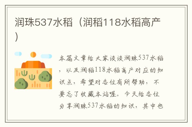 润珠537水稻（润稻118水稻高产）