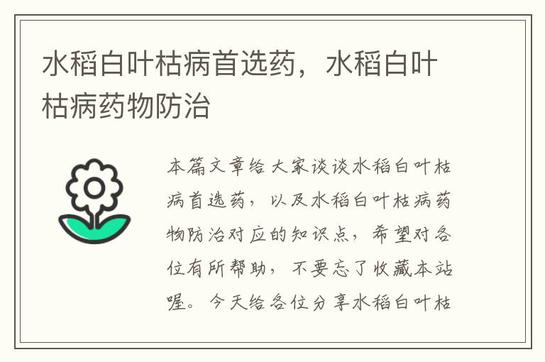 水稻白叶枯病首选药，水稻白叶枯病药物防治