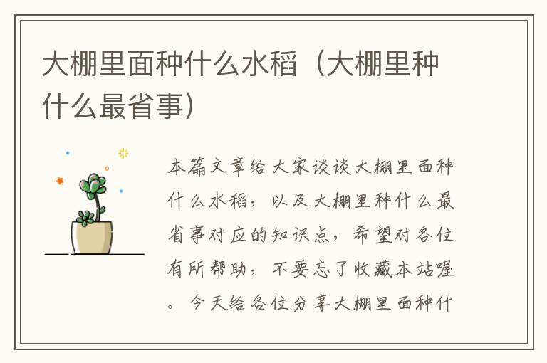 大棚里面种什么水稻（大棚里种什么最省事）