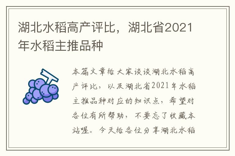 湖北水稻高产评比，湖北省2021年水稻主推品种