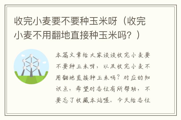 收完小麦要不要种玉米呀（收完小麦不用翻地直接种玉米吗？）