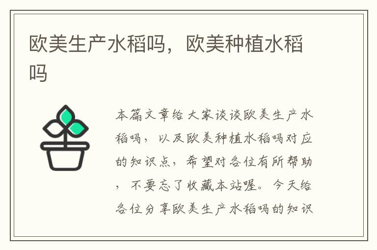 欧美生产水稻吗，欧美种植水稻吗