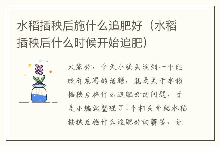 水稻插秧后施什么追肥好（水稻插秧后什么时候开始追肥）