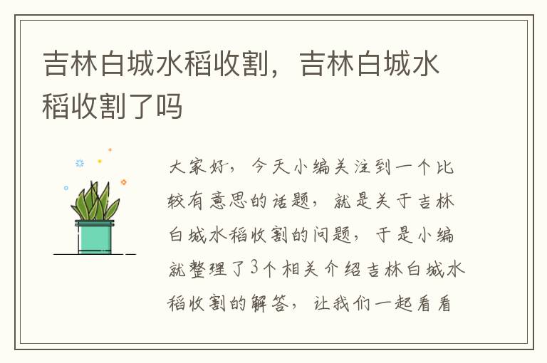 吉林白城水稻收割，吉林白城水稻收割了吗