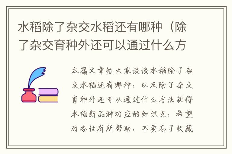 水稻除了杂交水稻还有哪种（除了杂交育种外还可以通过什么方法获得水稻新品种）