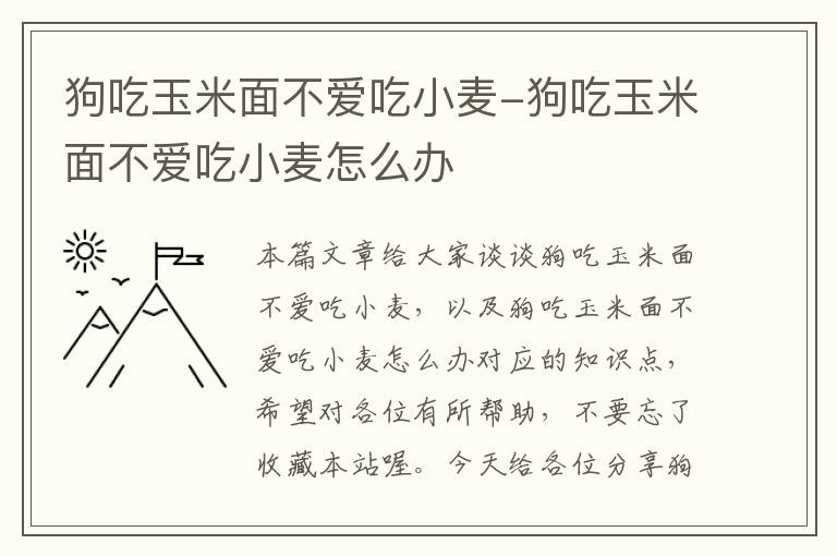 狗吃玉米面不爱吃小麦-狗吃玉米面不爱吃小麦怎么办