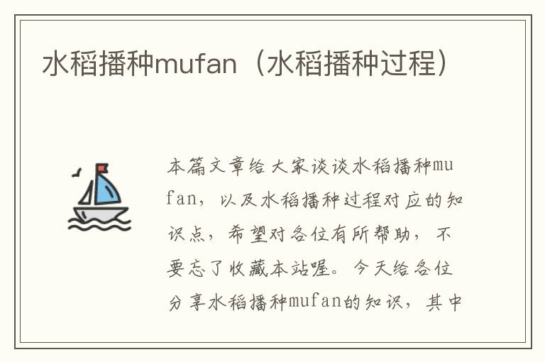 水稻播种mufan（水稻播种过程）