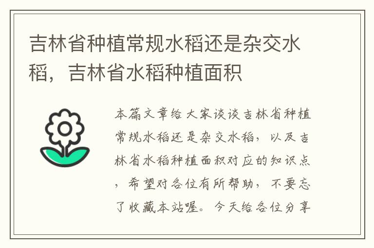 吉林省种植常规水稻还是杂交水稻，吉林省水稻种植面积