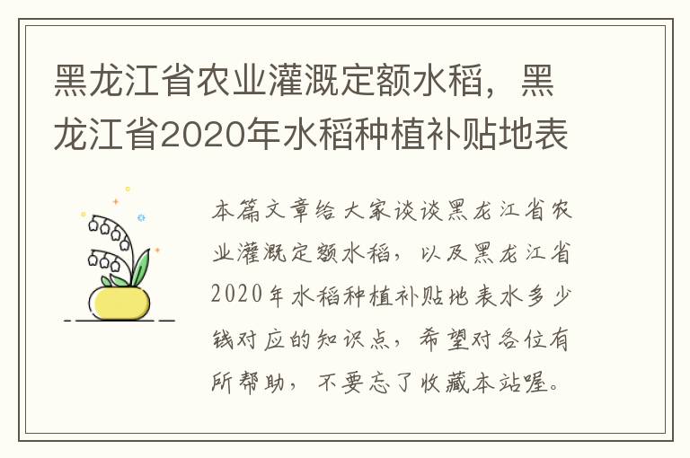 黑龙江省农业灌溉定额水稻，黑龙江省2020年水稻种植补贴地表水多少钱