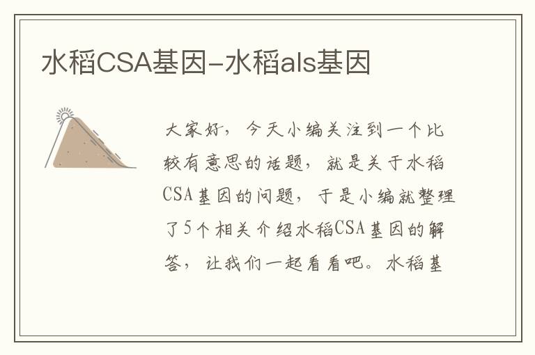 水稻CSA基因-水稻als基因