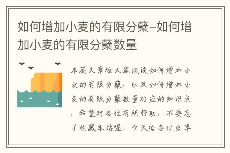 如何增加小麦的有限分蘖-如何增加小麦的有限分蘖数量