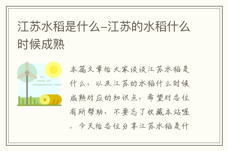 江苏水稻是什么-江苏的水稻什么时候成熟