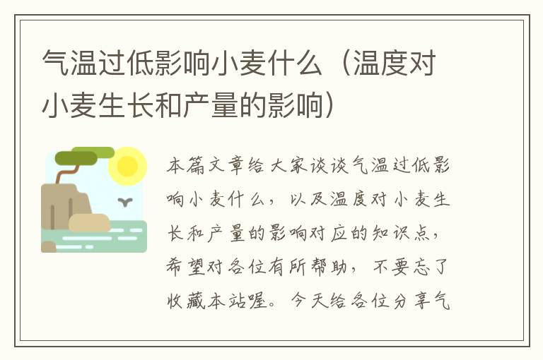 气温过低影响小麦什么（温度对小麦生长和产量的影响）