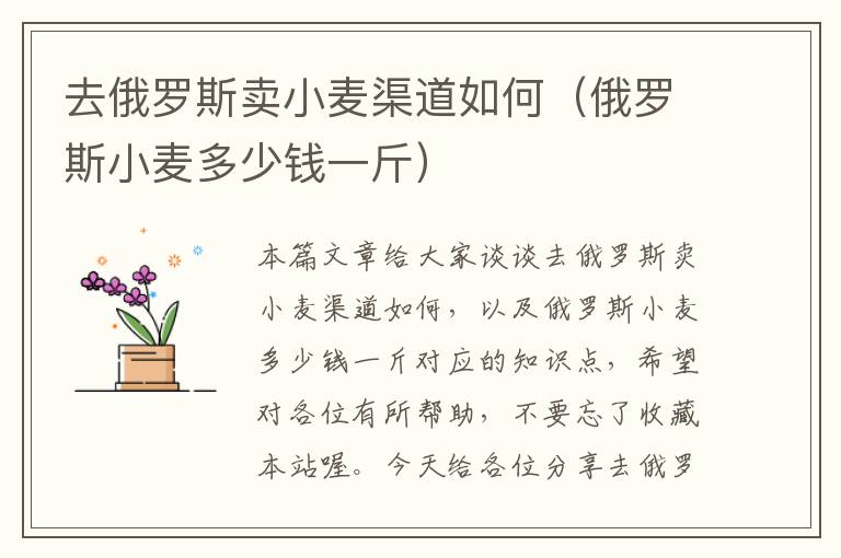 去俄罗斯卖小麦渠道如何（俄罗斯小麦多少钱一斤）