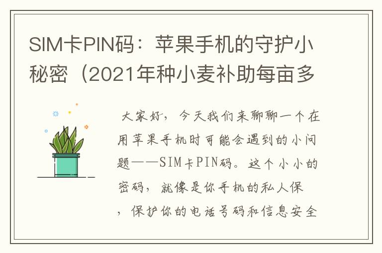 SIM卡PIN码：苹果手机的守护小秘密（2021年种小麦补助每亩多少钱）