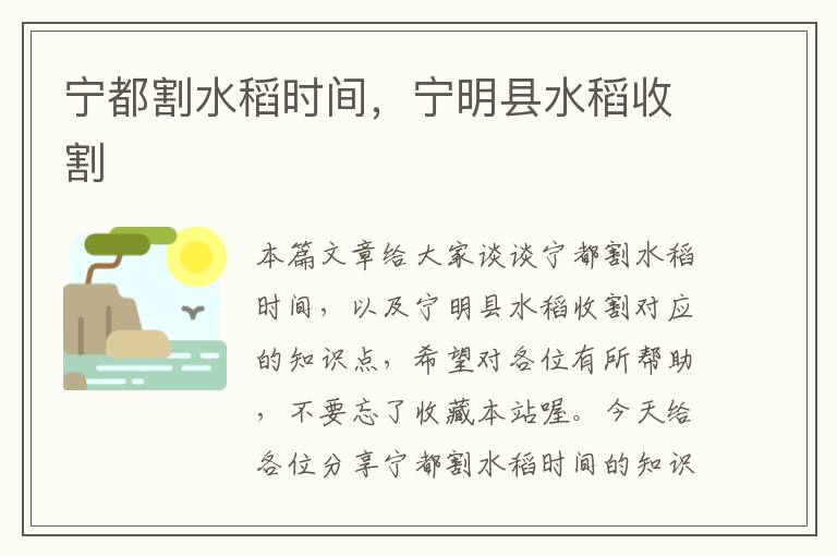 宁都割水稻时间，宁明县水稻收割