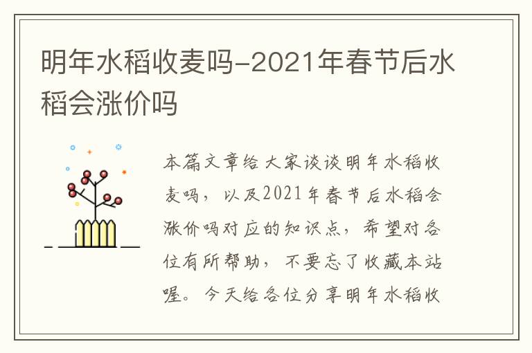 明年水稻收麦吗-2021年春节后水稻会涨价吗