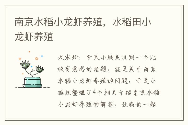 南京水稻小龙虾养殖，水稻田小龙虾养殖